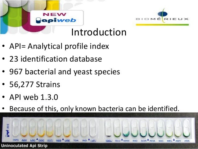 using api strips to identifiy yeasts Cum loads 3d